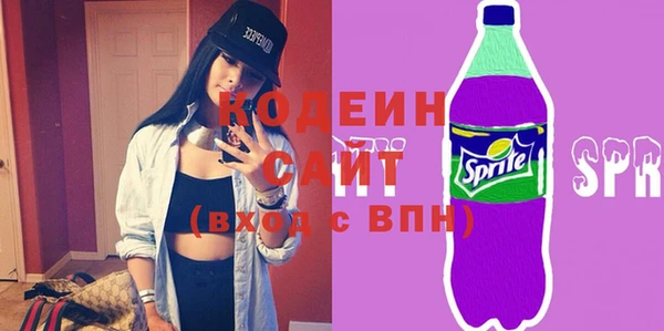 шишки Белоозёрский