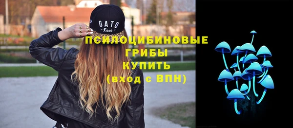 метамфетамин Белокуриха