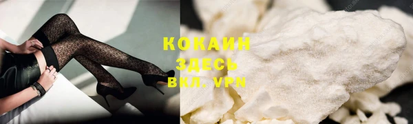 шишки Белоозёрский