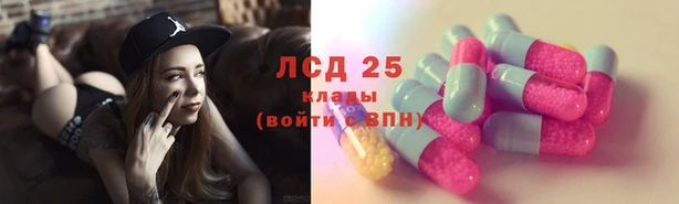 шишки Белоозёрский