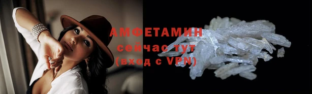 шишки Белоозёрский