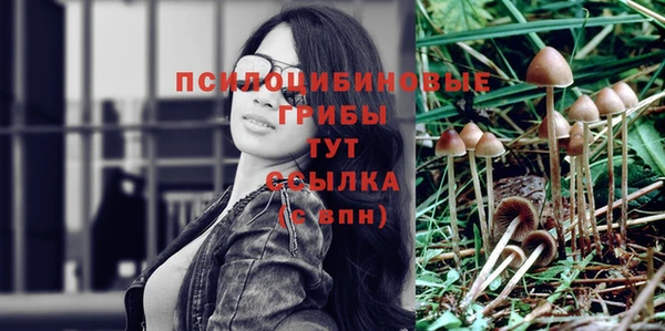 метамфетамин Белокуриха