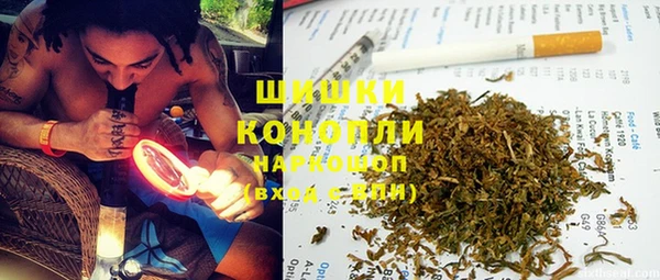 шишки Белоозёрский