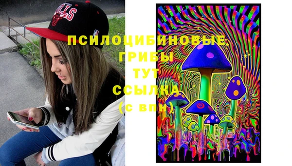 метамфетамин Белокуриха