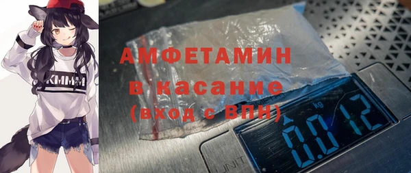 шишки Белоозёрский