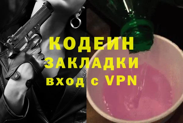 шишки Белоозёрский